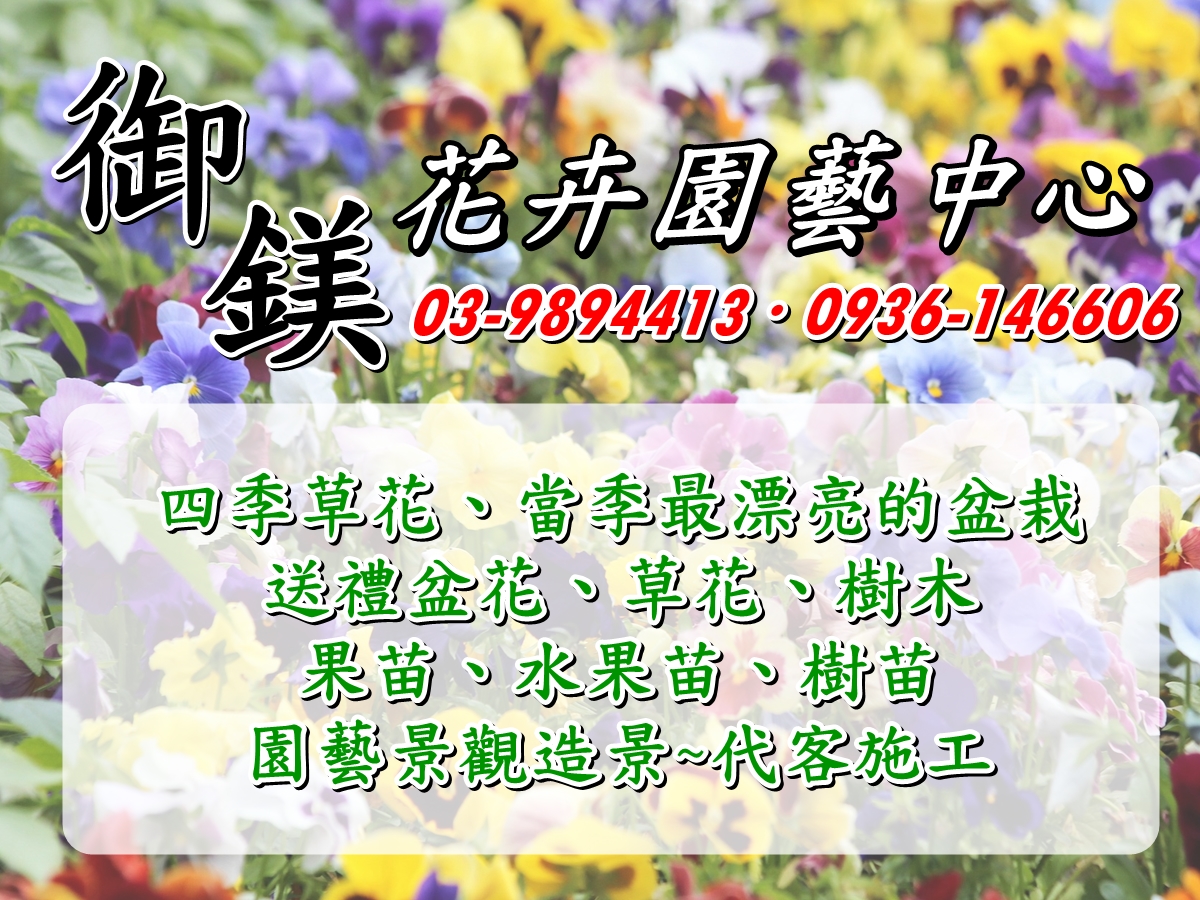 御鎂花苑園藝花卉中心~~各式花草、樹木~歡迎批發零售03-9894413 
