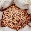 台灣阿里山-阿拉比卡咖啡豆