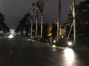 椰林大道投射燈
