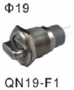 METAL PUSH SWITCH W&LED 金屬帶LED按鍵開關  QN19-F1