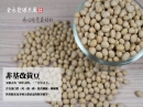 非基改黃豆-500公克 / 60元