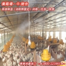 養雞場、牛‧豬舍急速降溫〈消除熱緊迫〉消毒、洗淨、除臭