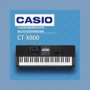 CASIO CT-X800 電子琴-WEIN~宇音樂器