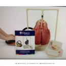 仿真肺部充氣示範模型